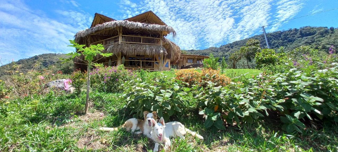 Ecohotel Soplo Del Tambo Cocorná Zewnętrze zdjęcie