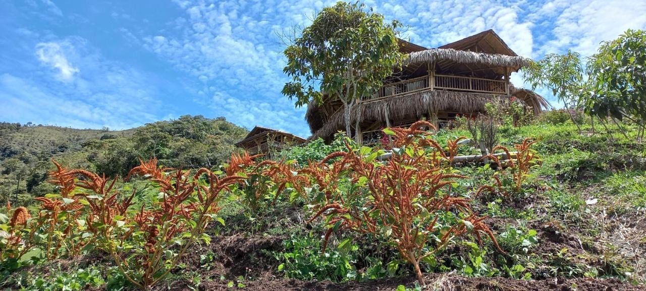 Ecohotel Soplo Del Tambo Cocorná Zewnętrze zdjęcie