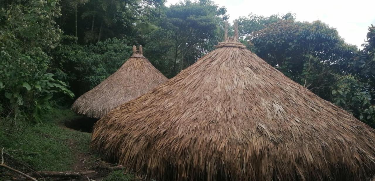 Ecohotel Soplo Del Tambo Cocorná Zewnętrze zdjęcie